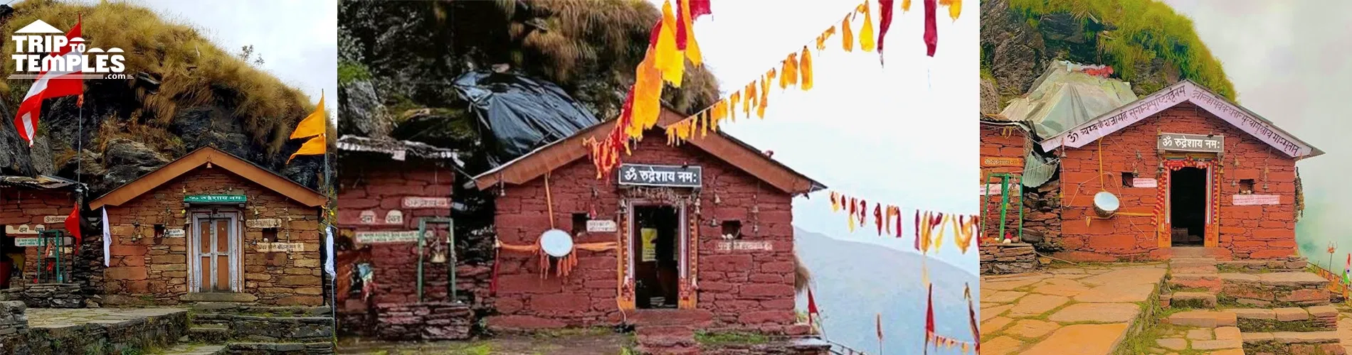 Rudranath Pilgrimage Tour