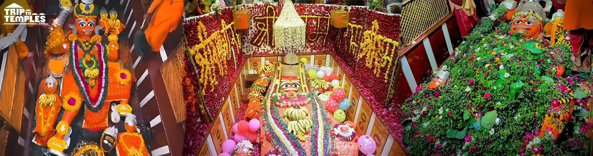 Kaushambi Prayagraj Pilgrimage Tour