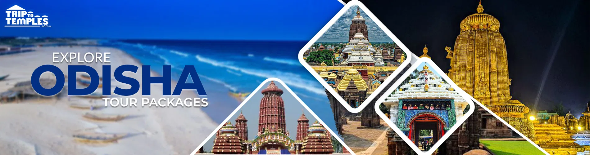 Odisha Konark Chilika Tour