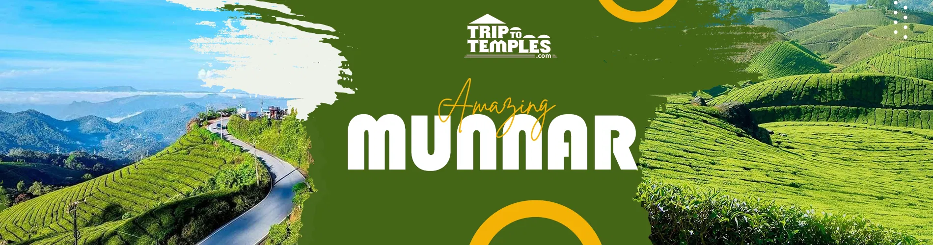Amazing Munnar Tour