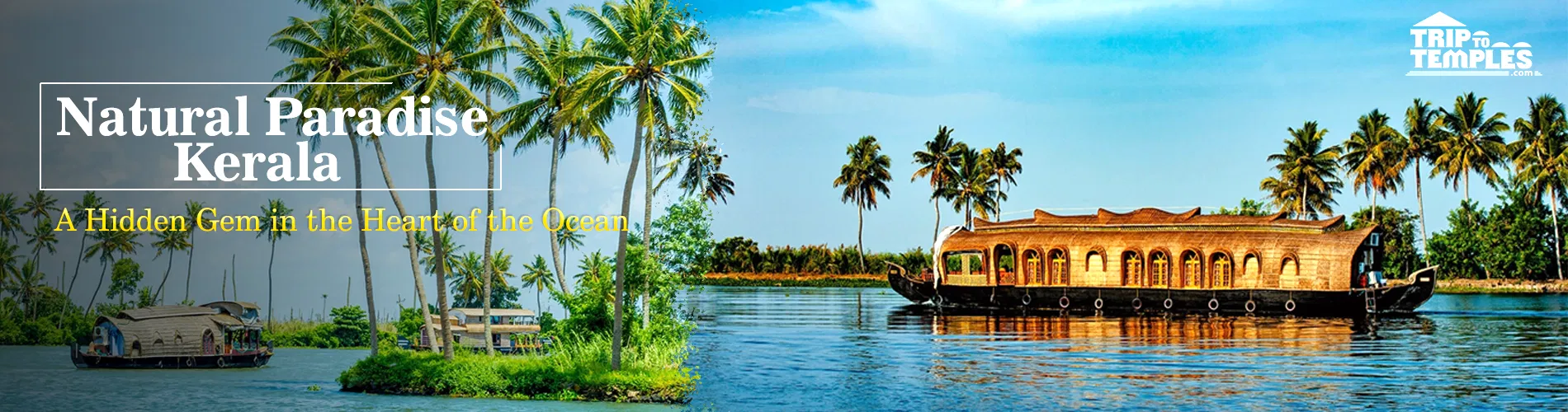 Natural Paradise Kerala Tour Package