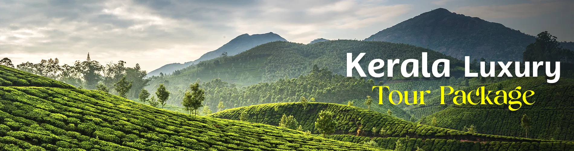 Kerala Luxury Tour Package