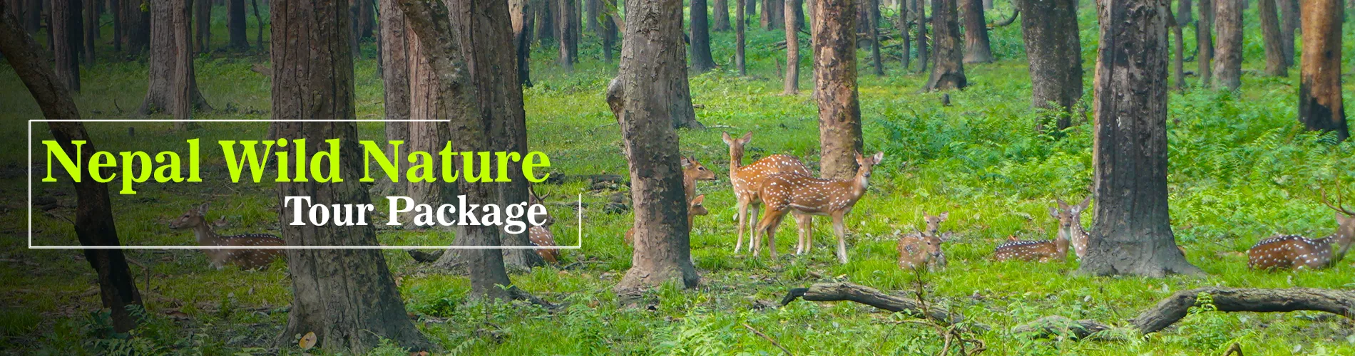 Nepal Wild Nature Tour Package