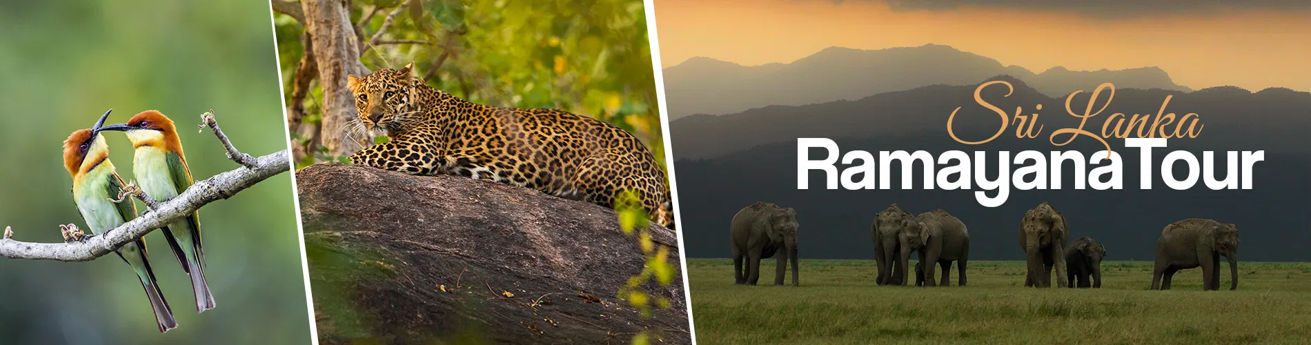 Sri Lanka Ramayana Tour 11 Days